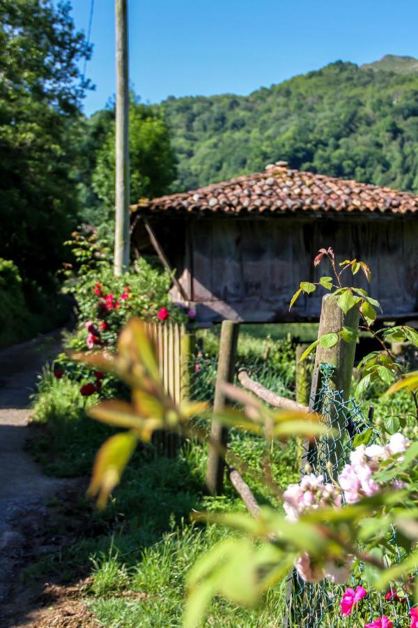 Casa Clarita Villa Cano Exterior photo